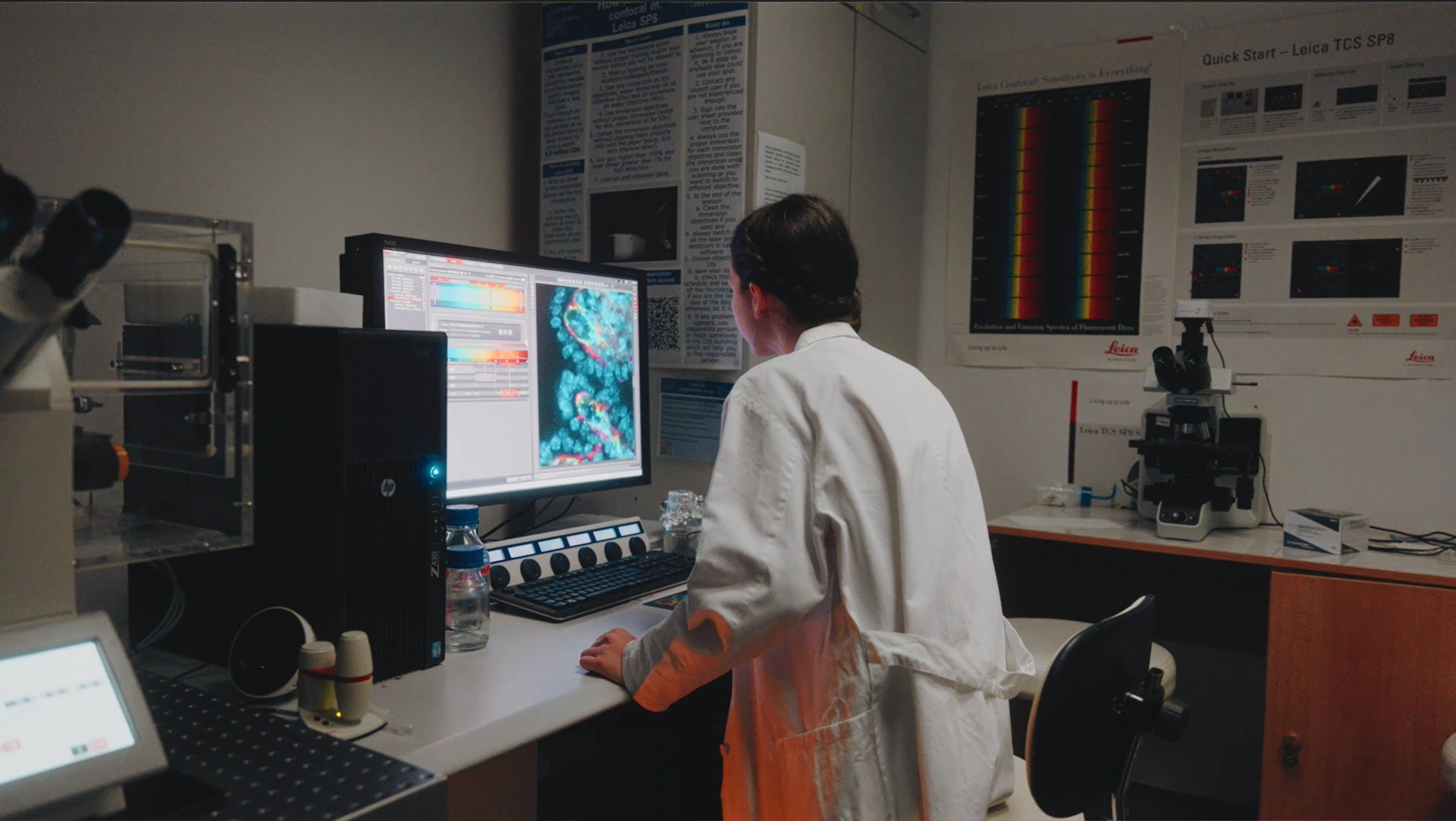 Researcher studying microscopic images