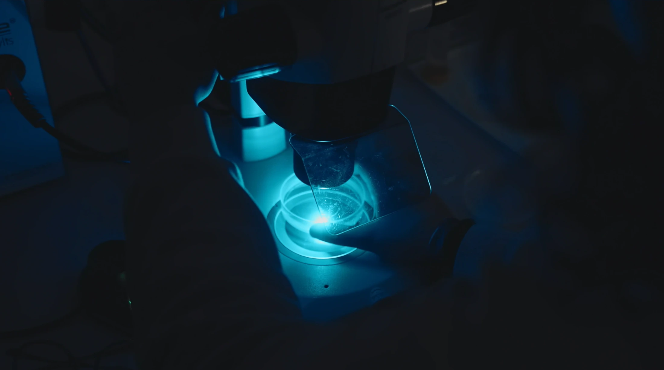 Fluorescence microscopy